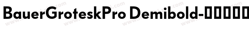 BauerGroteskPro Demibold字体转换